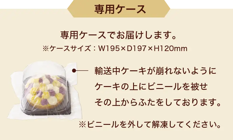 専用ケース